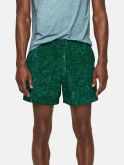 Green Hunter Fleck Rec Shorts